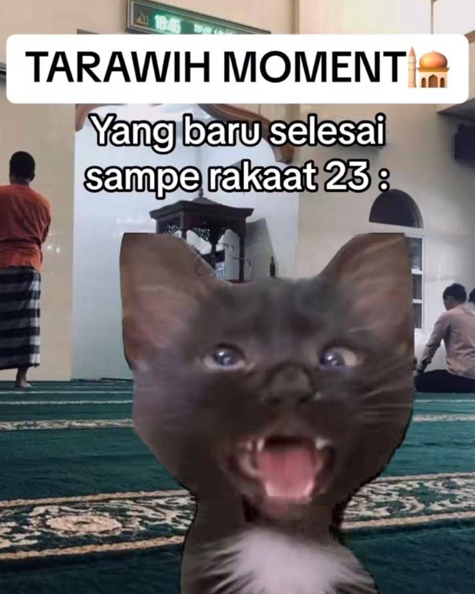 Instagram.com/memekucingofficial